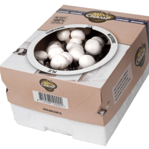 Home 2 Witte champginons 7,5L