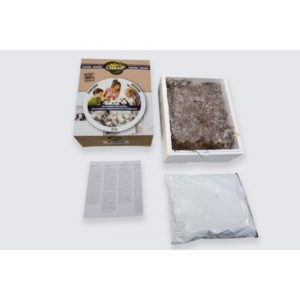 Na vul kweekpakket  Witte en/of bruine Champignons