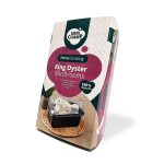 Konings Oesterzwam - Image 2